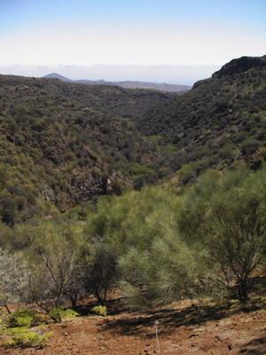 Bild den Barranco de los Cernicalos bergab