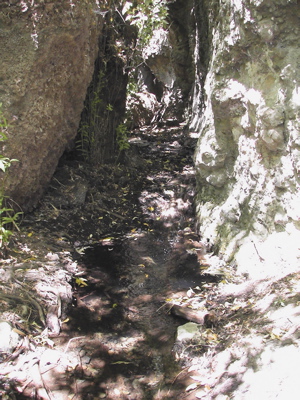 Wasserlauf auf Gran Canaria