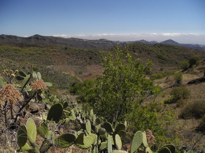 Fotor Richtung Nordosten von Gran Canaria