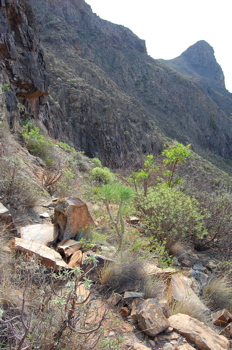 Aufstiegsweg der Wanderung