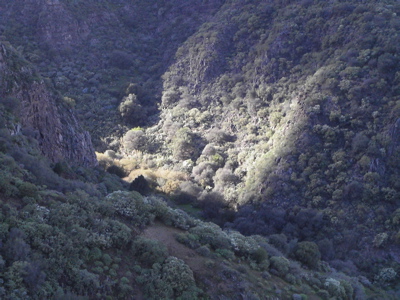 Sonne im Barranco