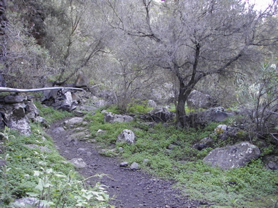 Wanderweg in den Barranco