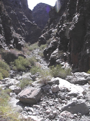 Im Süden von Gran Canaria befindet sich der Barranco Hondo