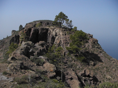 Roque Faneque