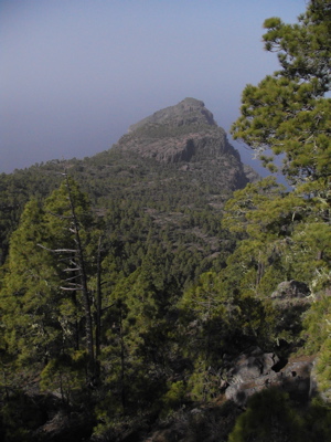 Wandern im Westen von Gran Canaria zum Roque Faneque