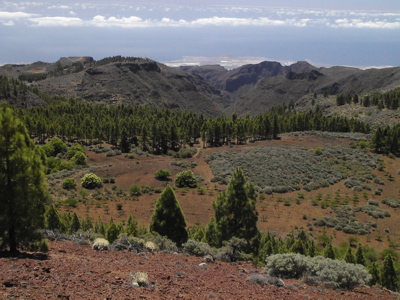 Bild des Oberteils des Barranco de Guayadeque