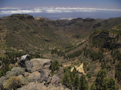 Foto des Barranco de Guayadeque