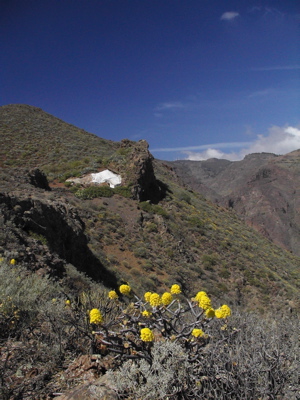 Wanderung zu einer Höhlenwohnung auf Gran Canaria