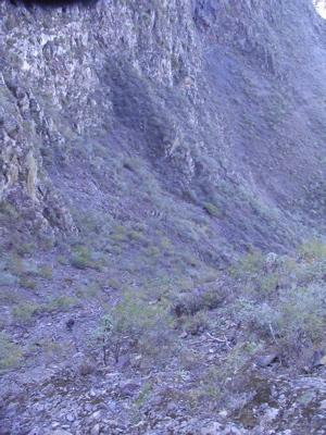 Abstieg der Wanderung
