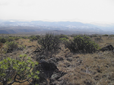 Wandern oberhalb des Barranco de Guayadeque auf Gran Canaria