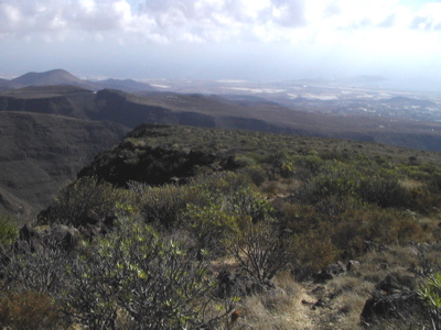 Im Osten von Gran Canaria liegt der Barranco de Guayadeque