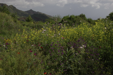 Blumenwiese, Wanderung Valsequillo