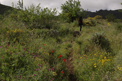 Wanderpfad in Gran Canaria