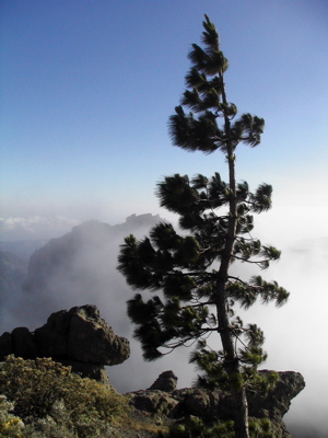 Wolken - Wetter beim Wandern auf Gran Canaria